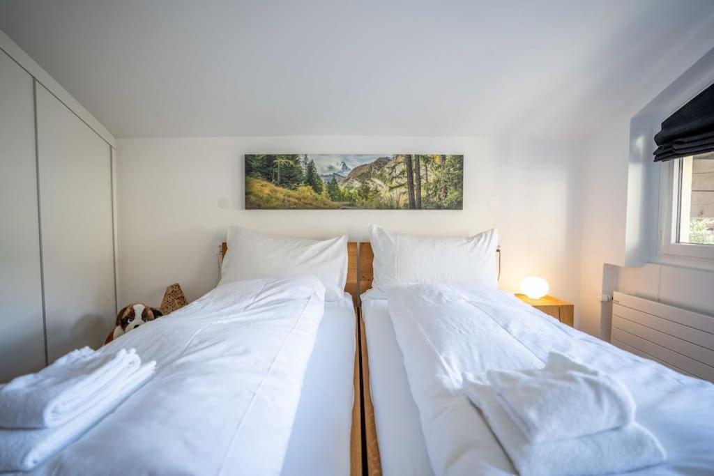 Moderne Wohnung Mit Ausblick Und Viel Sonne Zermatt Esterno foto